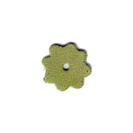 5 Fleurs en daim 28mm vert acide