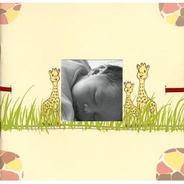 Mini album naissance girafe